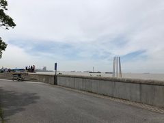 -上海滨江森林公园