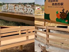-盈香心动乐园