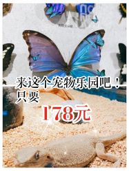 -七巧国萌宠乐园(龙湖天街店)