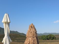 -龙坞茶村