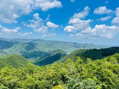 -莫干山风景区