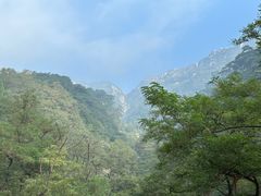 -泰山风景名胜区
