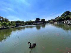 -苏州吴宫泛太平洋酒店