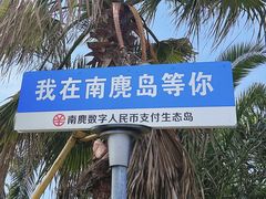 -南麂列岛