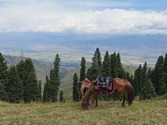 -新疆那拉提国家旅游度假区
