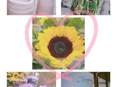 -鹿岛会员店 (龙湖三千集天街店)