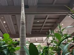 -弘安丽水温泉酒店