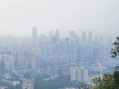-南山植物园