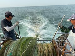 -日照世帆赛基地