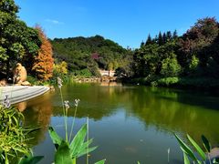 -云溪植物园