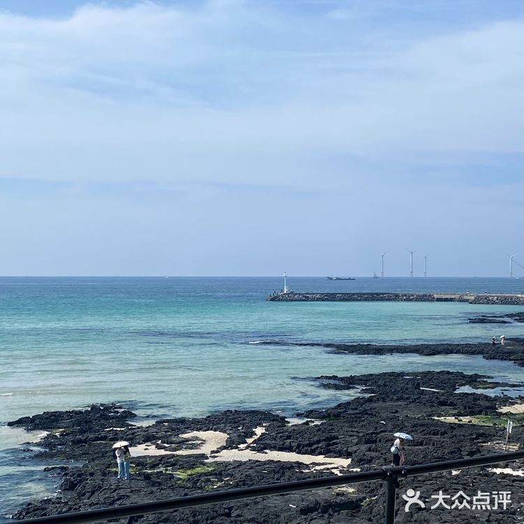 Jeju 🌊｜崖月邑吊床咖啡拍到了人生照片！