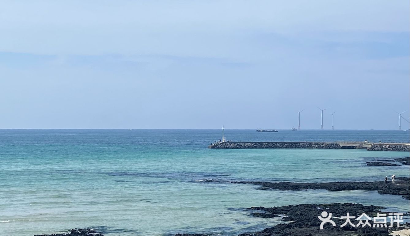 Jeju 🌊｜崖月邑吊床咖啡拍到了人生照片！