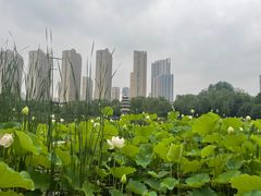 -木塔寺遗址生态公园