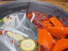 -阳阳老火锅(小南门店)