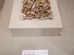 -南越王博物院(王宫展区)