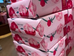 -嘉华鲜花饼(四方街旗舰店)