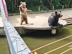 -贵州森林野生动物园