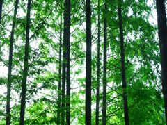 公园内-杭州城北体育公园