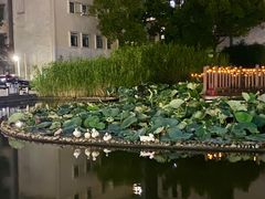 -苏州河梦清园环保主题公园