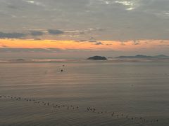 -北岐滩涂