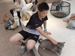-飞行喵MR PILOT|猫舍·猫咖(静安大融城店)