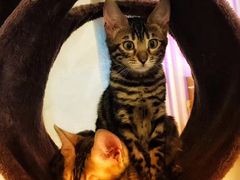 -Me Coffee下午茶艺术空间