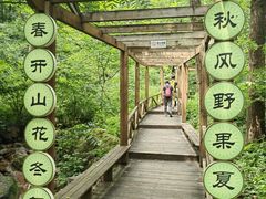 -大岭沟猕猴桃谷风景区
