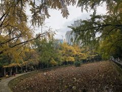 -四川大学(华西校区)