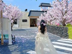 -Blue Concept Cafe&Farm·關於藍