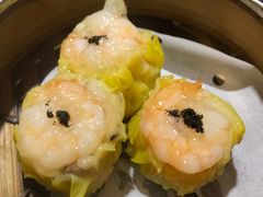 -糖朝(尖沙咀店)