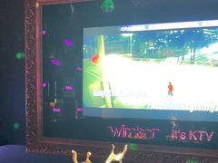 -温莎KTV(珠江路店)