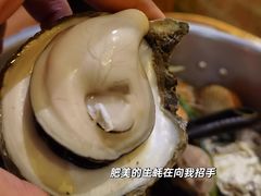 -土蚝·高压锅生蚝(百姓美食街店)