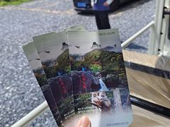 -安吉龙王山峡谷漂流