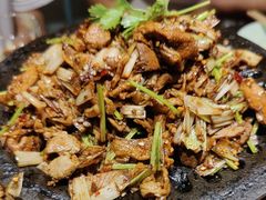 贝勒爷烤肉-北平盛世·新京菜·北京烤鸭(劲松·双井店)