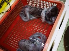 -外伶仃岛海鲜市场