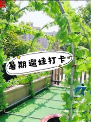 -可可天空农场(中大店)