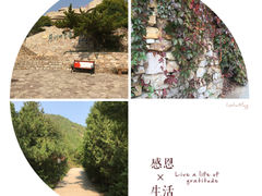-府君山公园