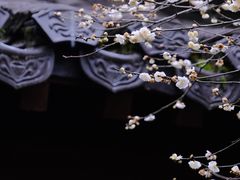 -钱王祠