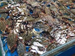 飞蟹-盛华世家商业广场农贸水产综合批发市场