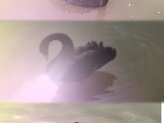 -南昌动物园