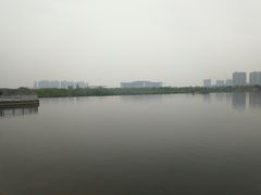 -灞河西岸滨河公园