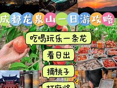 -桃源山庄·水蜜桃采摘·柴火鸡·烧烤团建(龙泉山店)