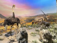 -国家自然博物馆