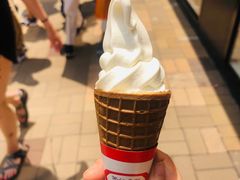 -富豪雪糕车流动点(尖沙咀店)