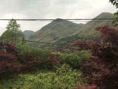 -四明山国家森林公园