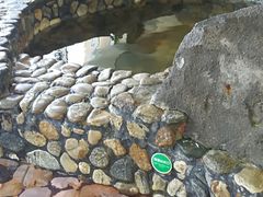 -青岛海泉湾度假区温泉