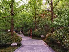 -华清宫景区