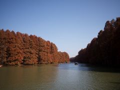 -上海海湾国家森林公园