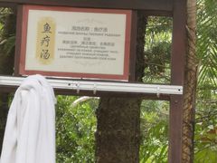 -三亚海棠湾南田温泉神龙谷