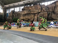 -杭州开元森泊度假乐园